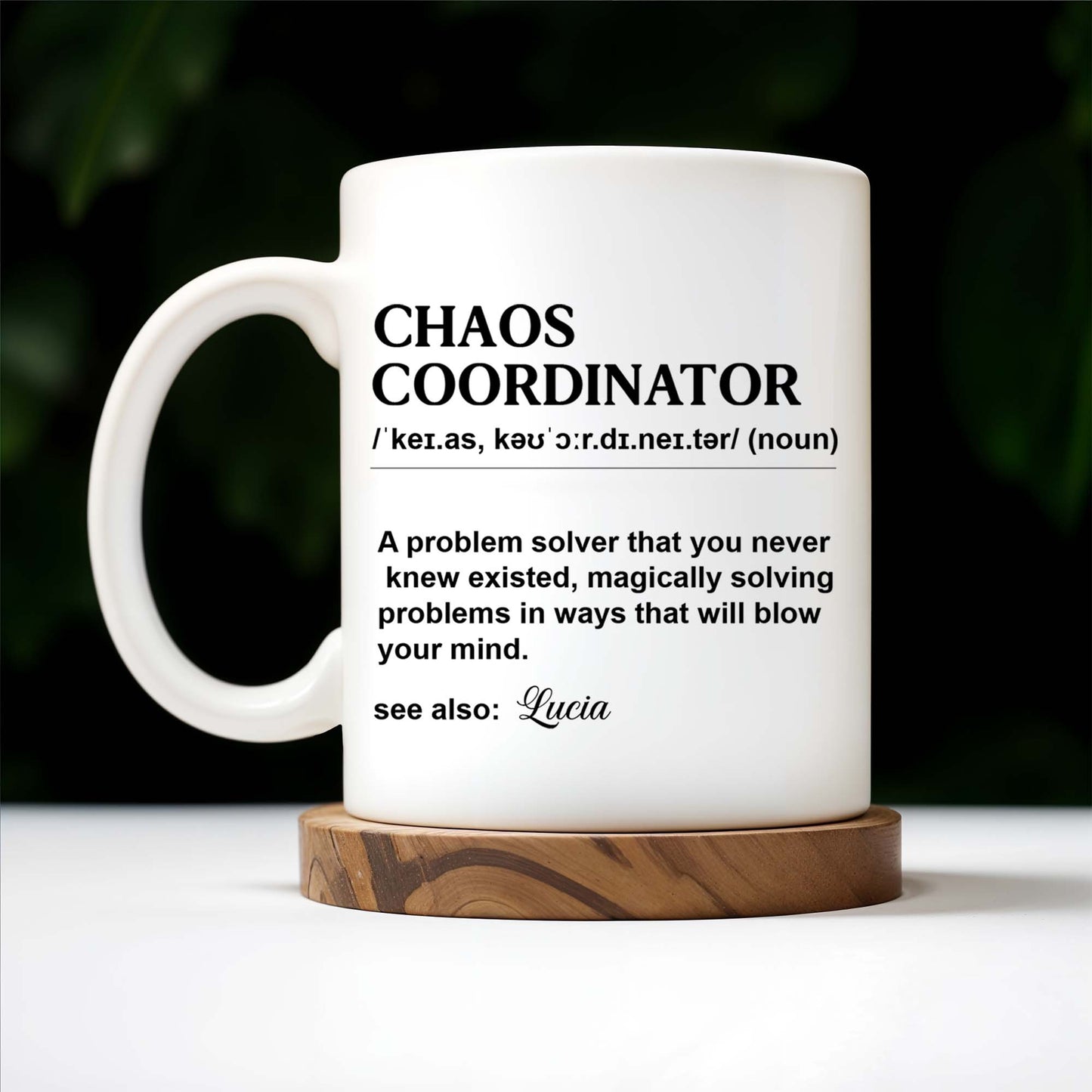 Chaos Coordinator Magical Problem Solver Mug