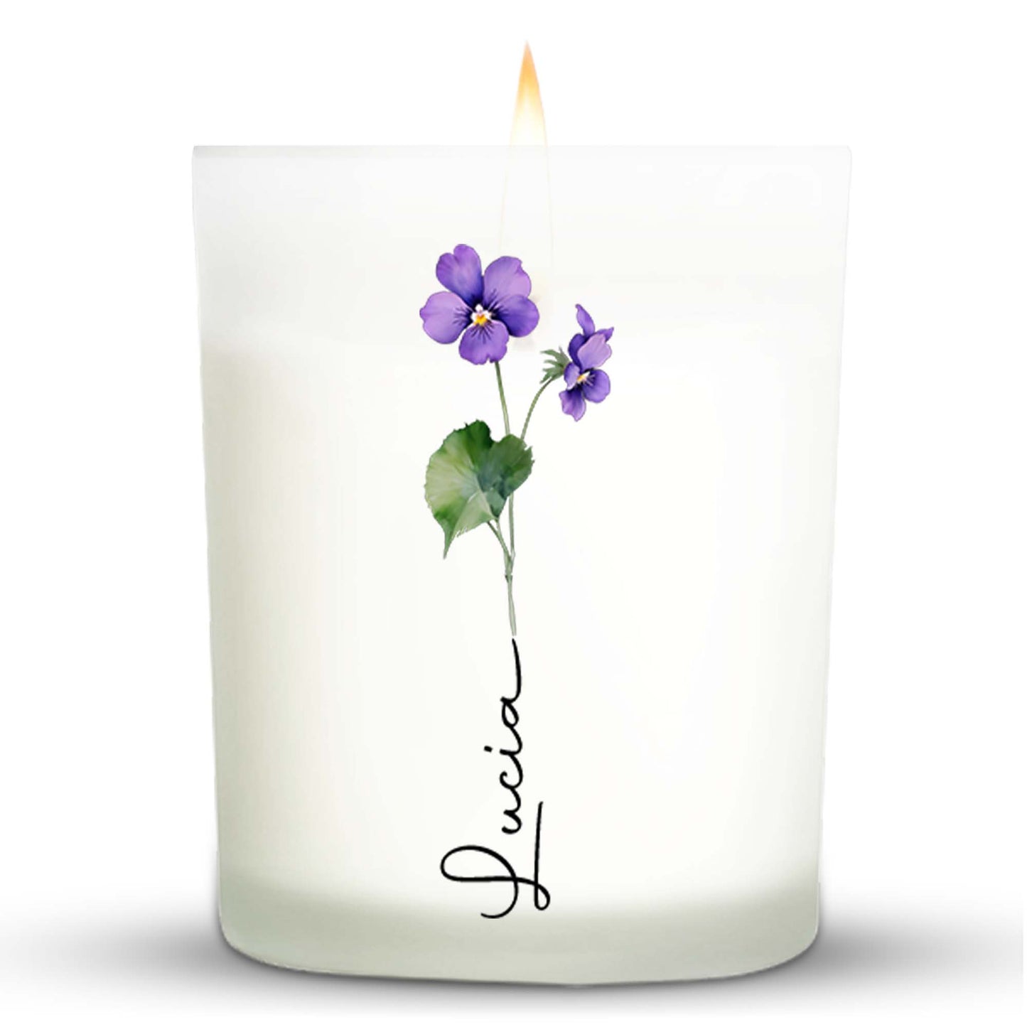 Vibrant Violets Illuminate Your Path