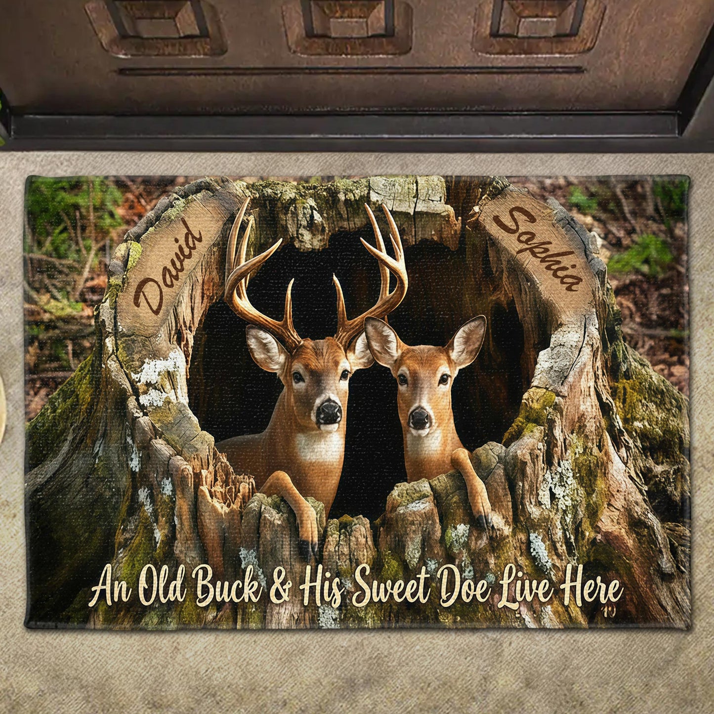 An Old Buck And His Sweet Doe Live Here With Deer And Tree Trunk