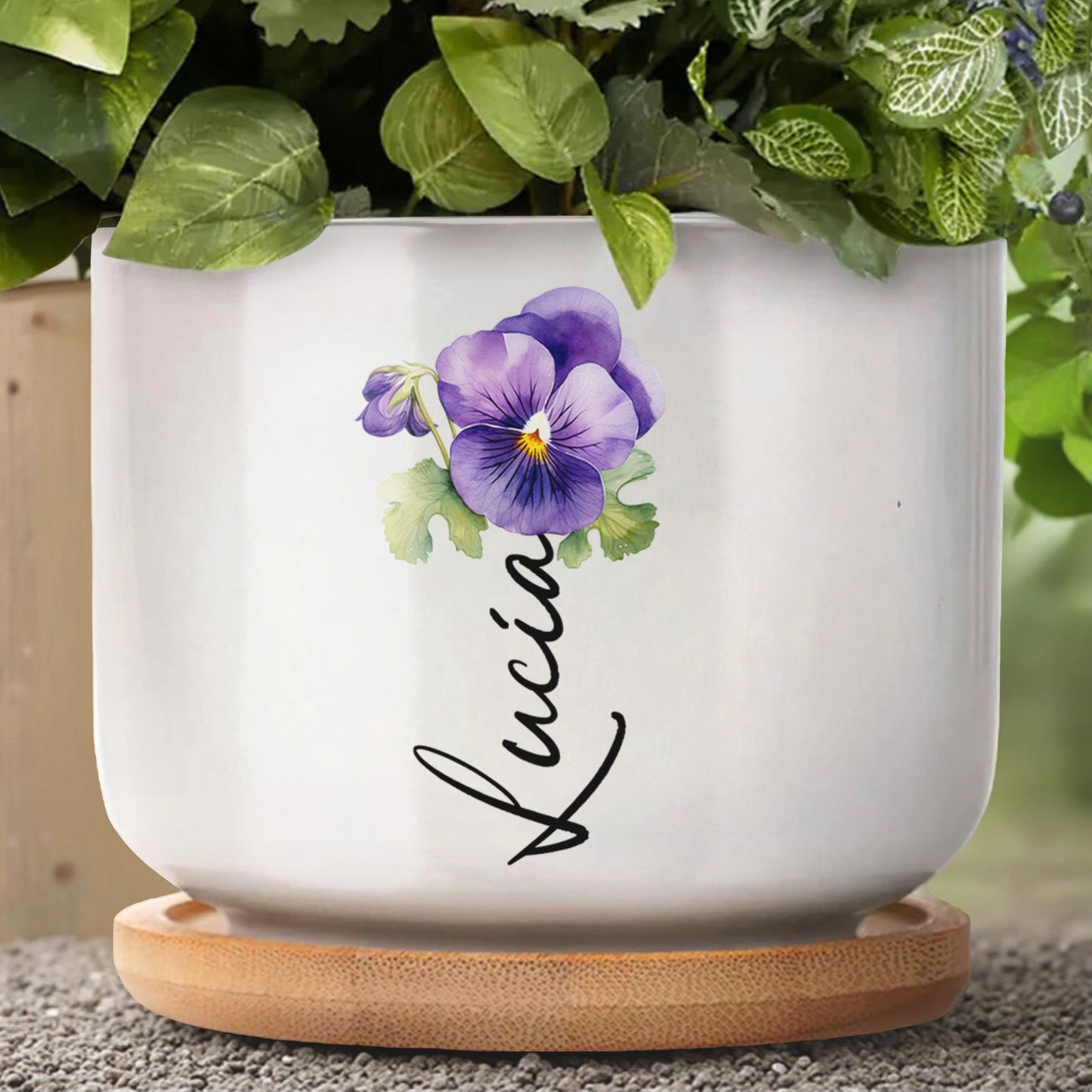 To My Daughter, The Only Thing Better Than Being Your Mother, Pansy Flower And Heart