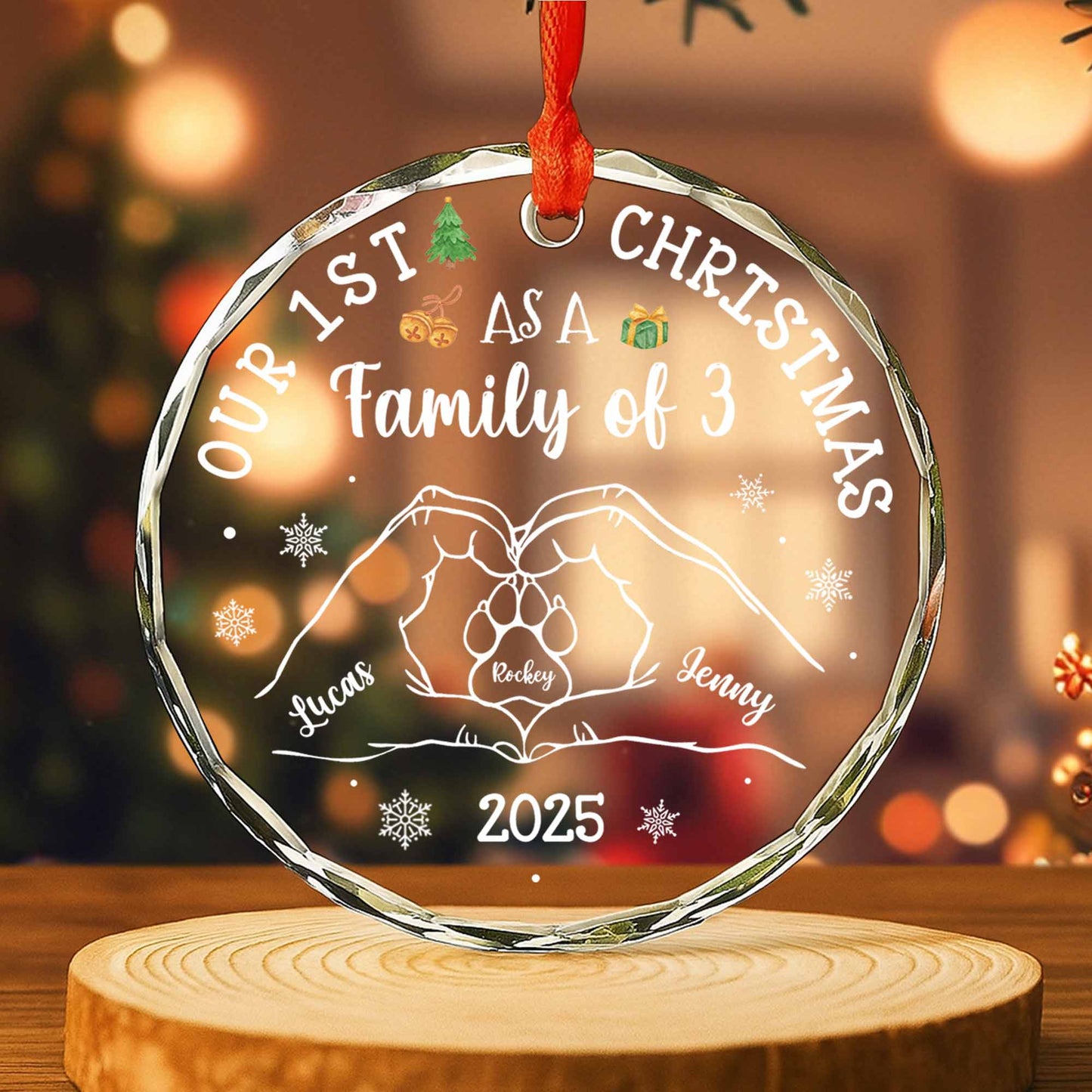 Our 1st Christmas As A Family of 3, With Hands and Paws