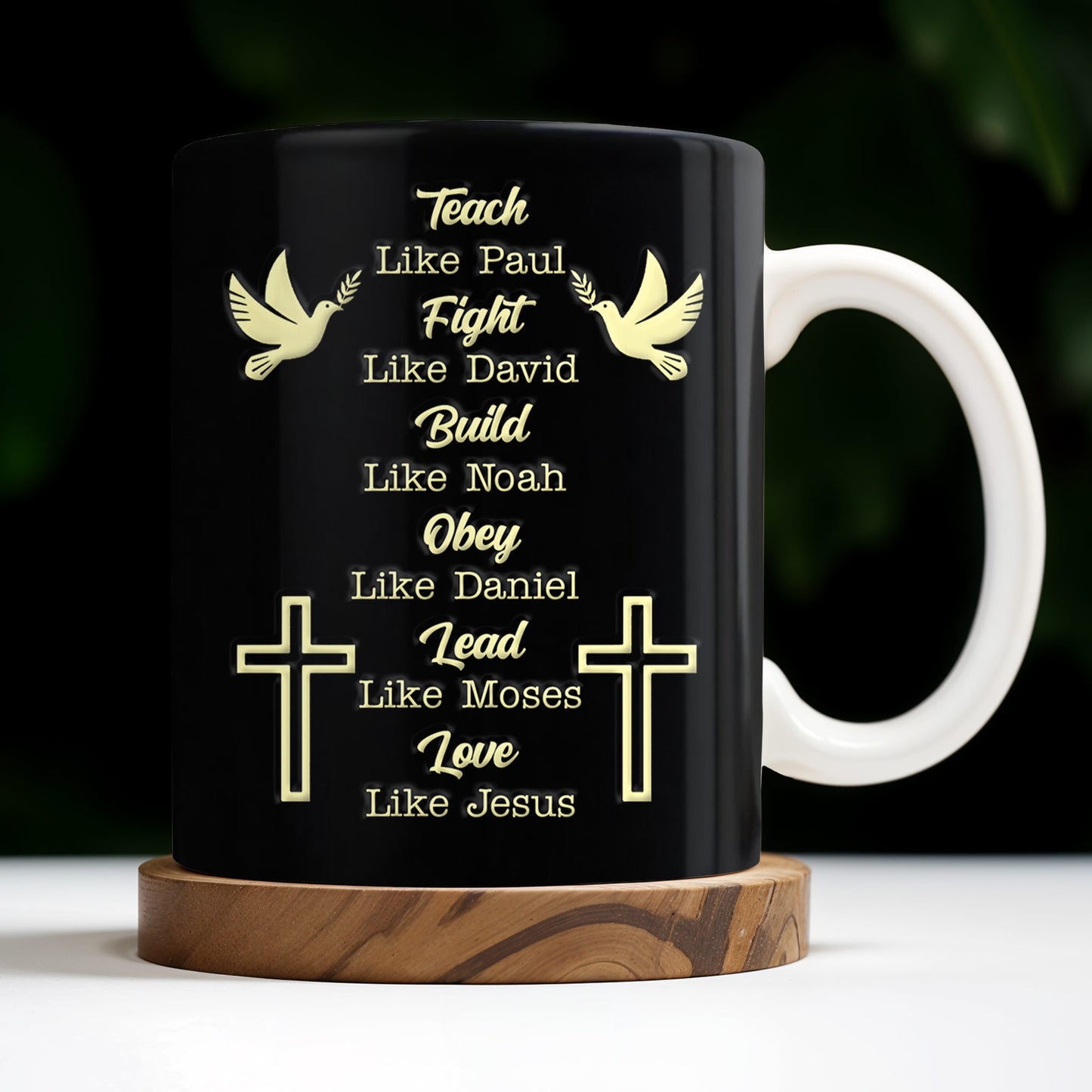 Teach Like Paul, Fight Like David, Build Like Noah, Cross and Dove