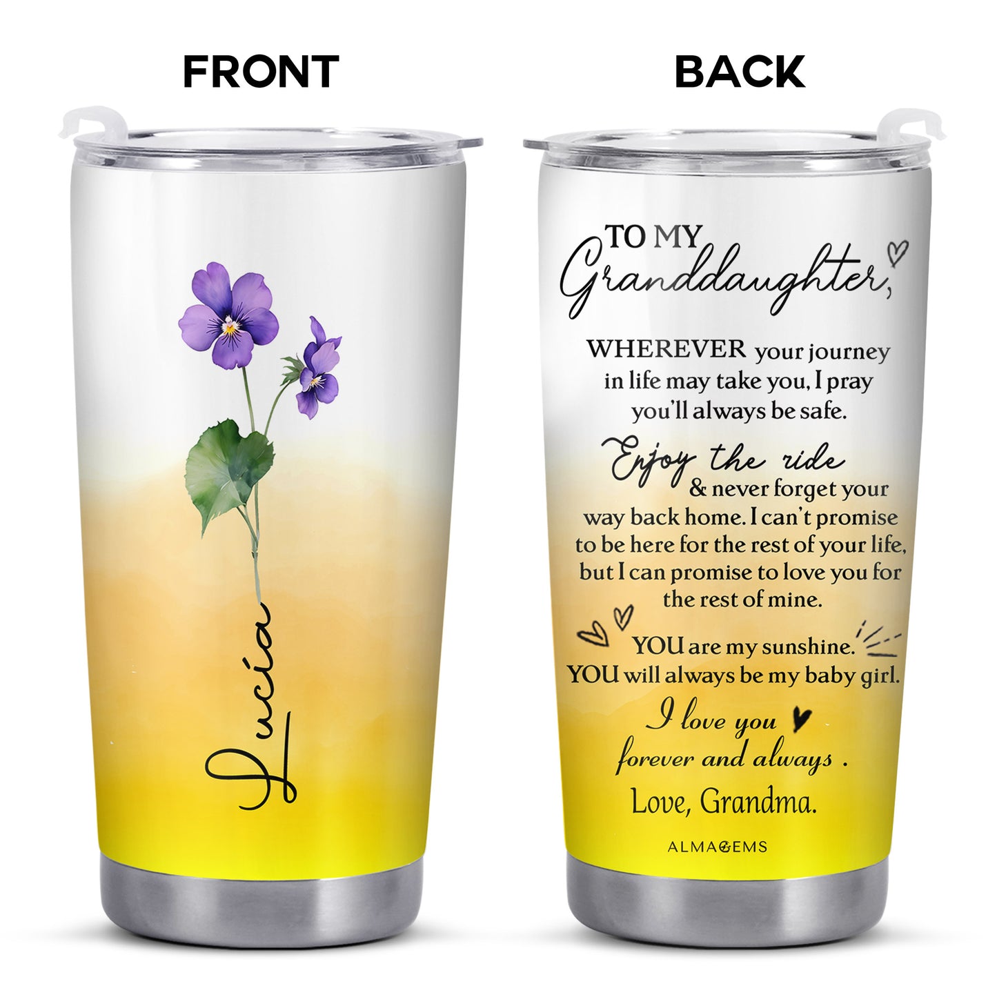 To My Granddaughter, Enjoy The Ride, You Are My Sunshine