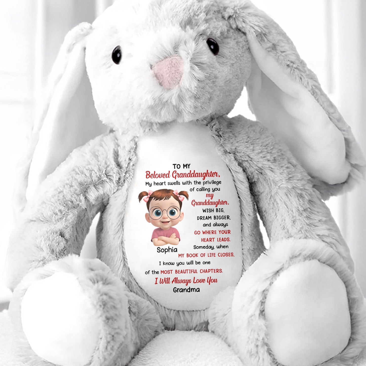 To My Beloved Granddaughter, Wish Big, Dream Bigger, Stuffed Bunny