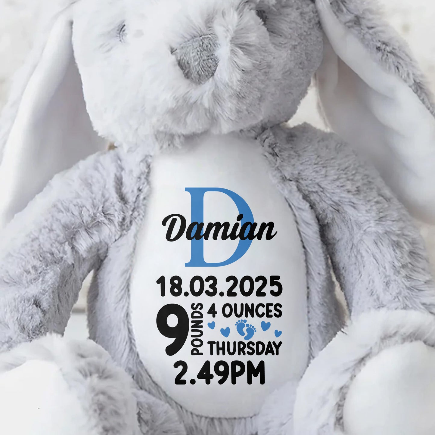 Bellamy 18.03.2025 9 Pounds 4 Ounces Thursday 2.49 PM, Stuffed Bunny