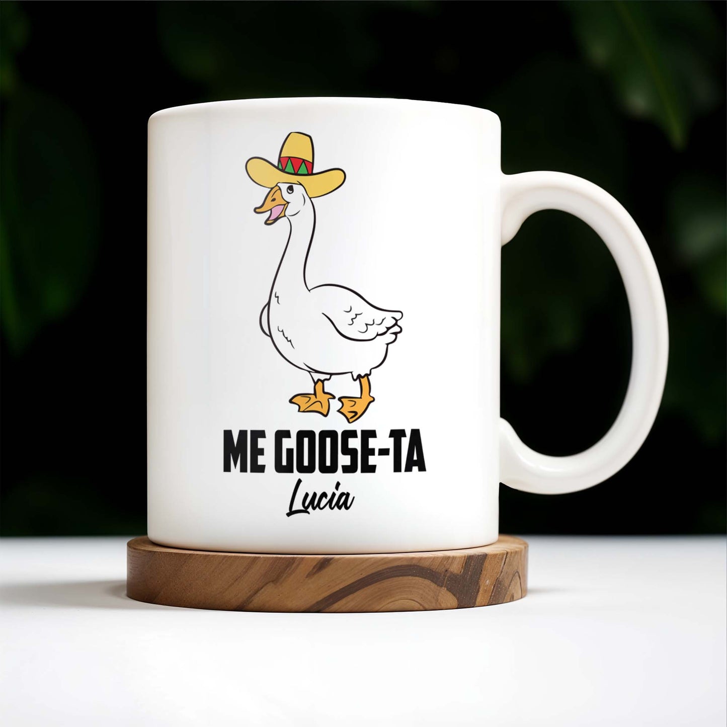 Me Goose-Ta Goose With Sombrero