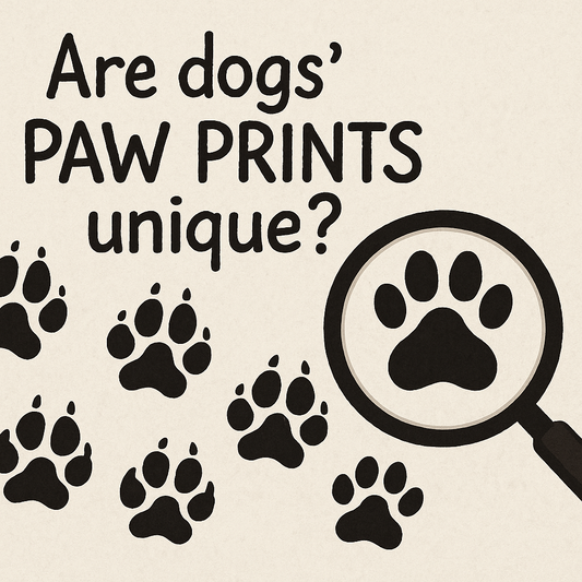 Your Pet's Personal Signature: Are Dogs' Paw Prints Unique?