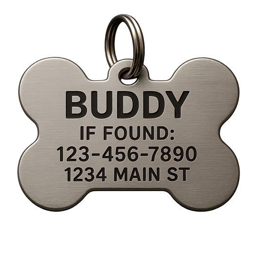A Tag Full of Love: What to Put on a Dog ID Tag (& More Ways to Celebrate Them)