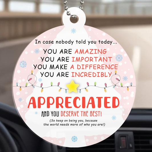 You Are Appreciated And You Deserve The Best Ornament - Personalized Custom Acrylic Ornament, Car Ornament - BST006_HGO