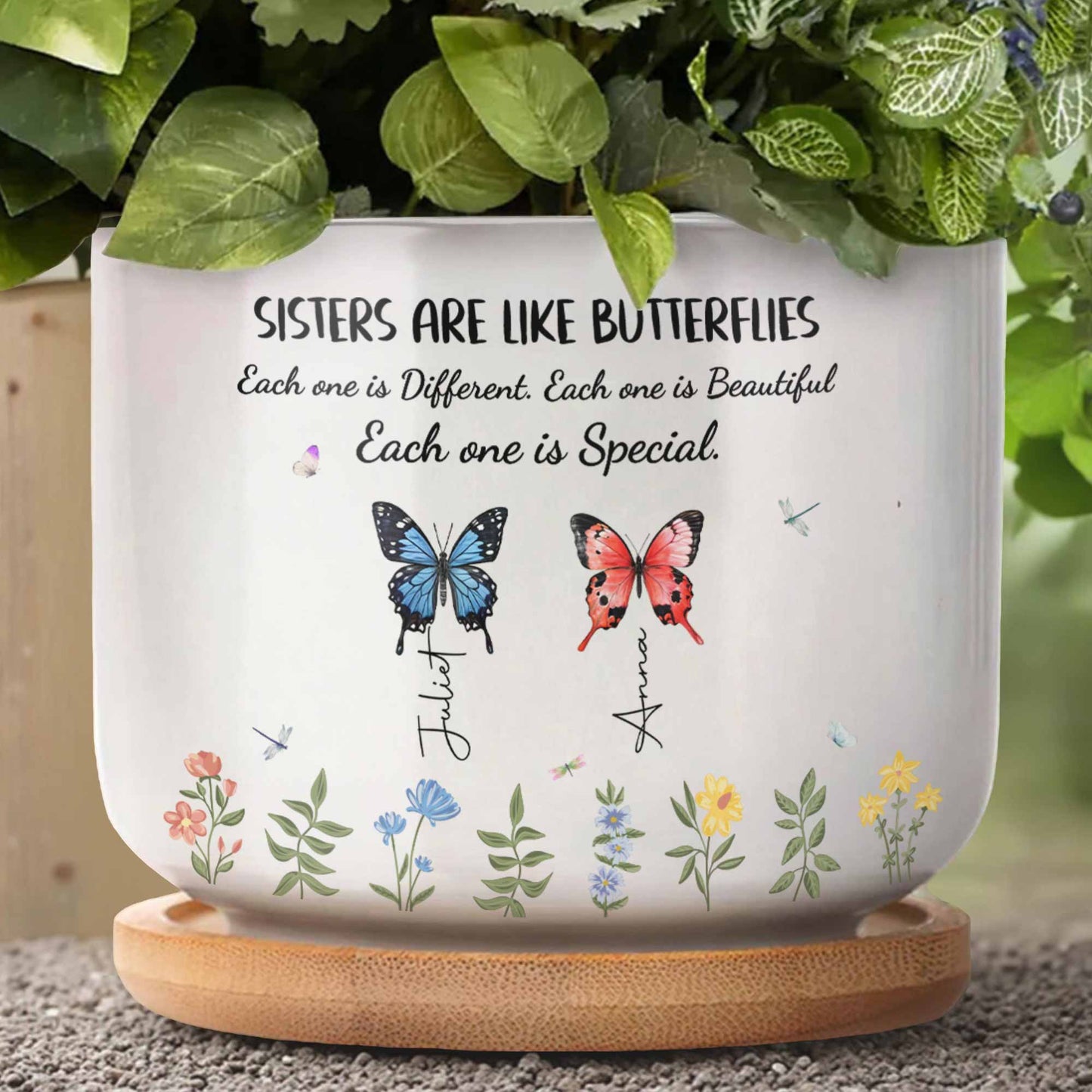Sisters Are Like Butterflies Each One Is Special