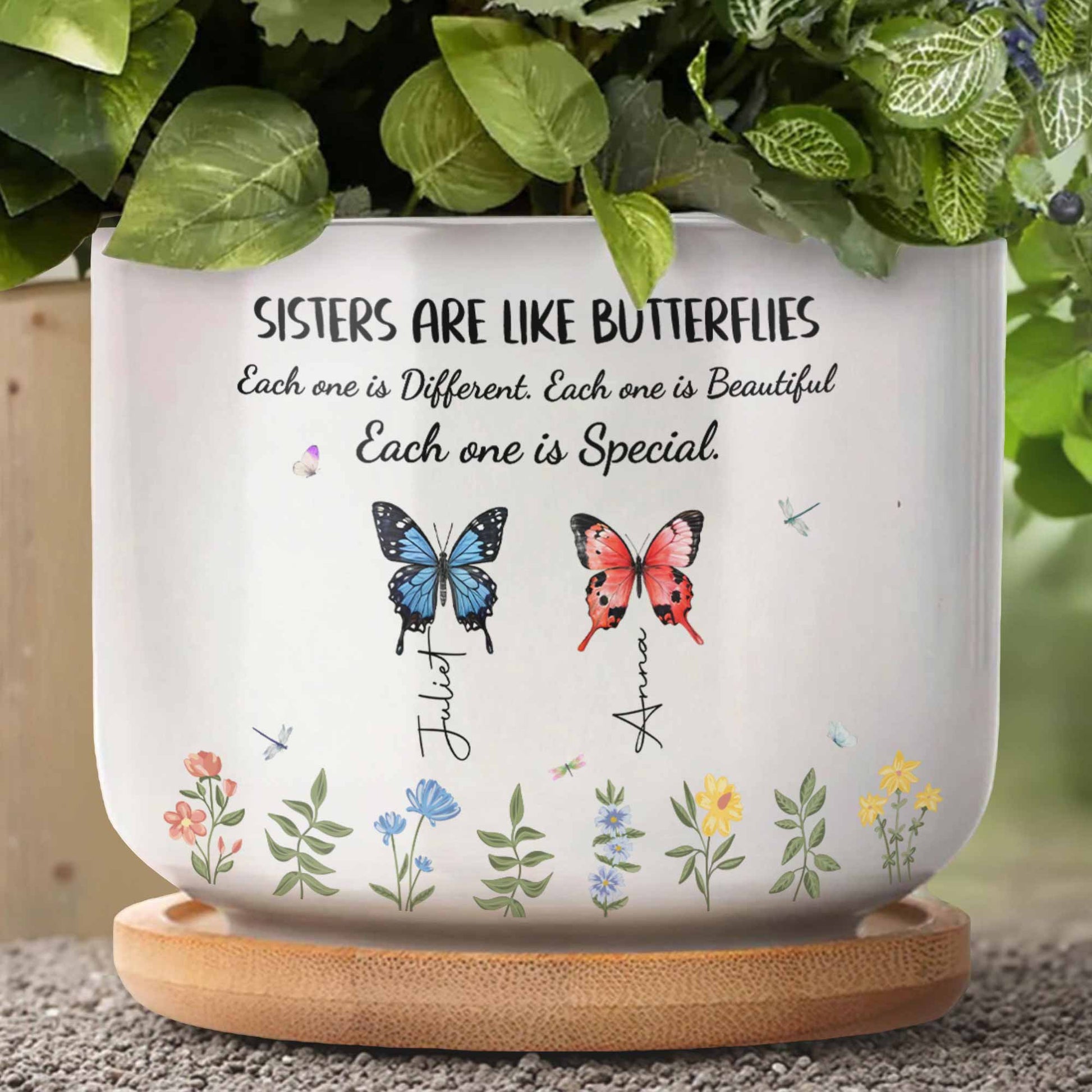 Sisters Are Like Butterflies Each One Is Special