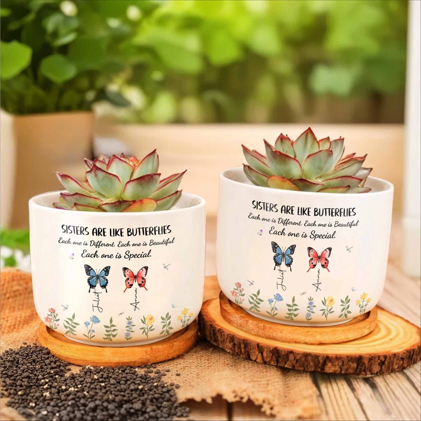 Sisters Are Like Butterflies Each One Is Special