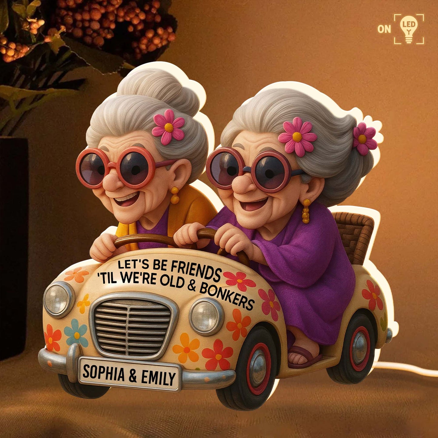 Let's Be Friends 'Til We're Old & Bonkers, Elderly Women In Vintage Car