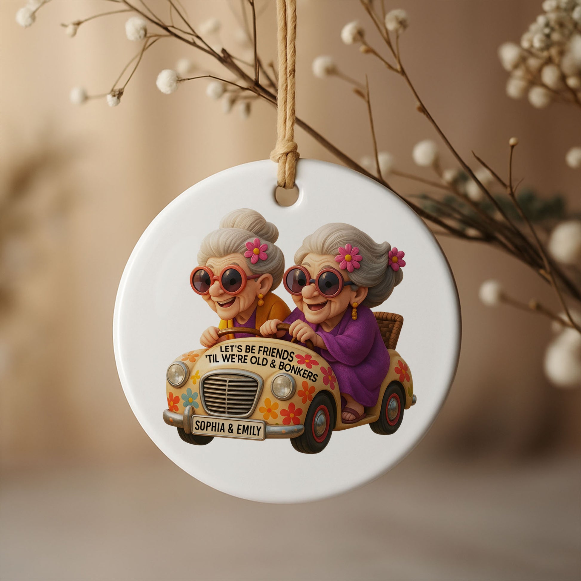 Let's Be Friends 'Til We're Old & Bonkers Elderly Women in Car