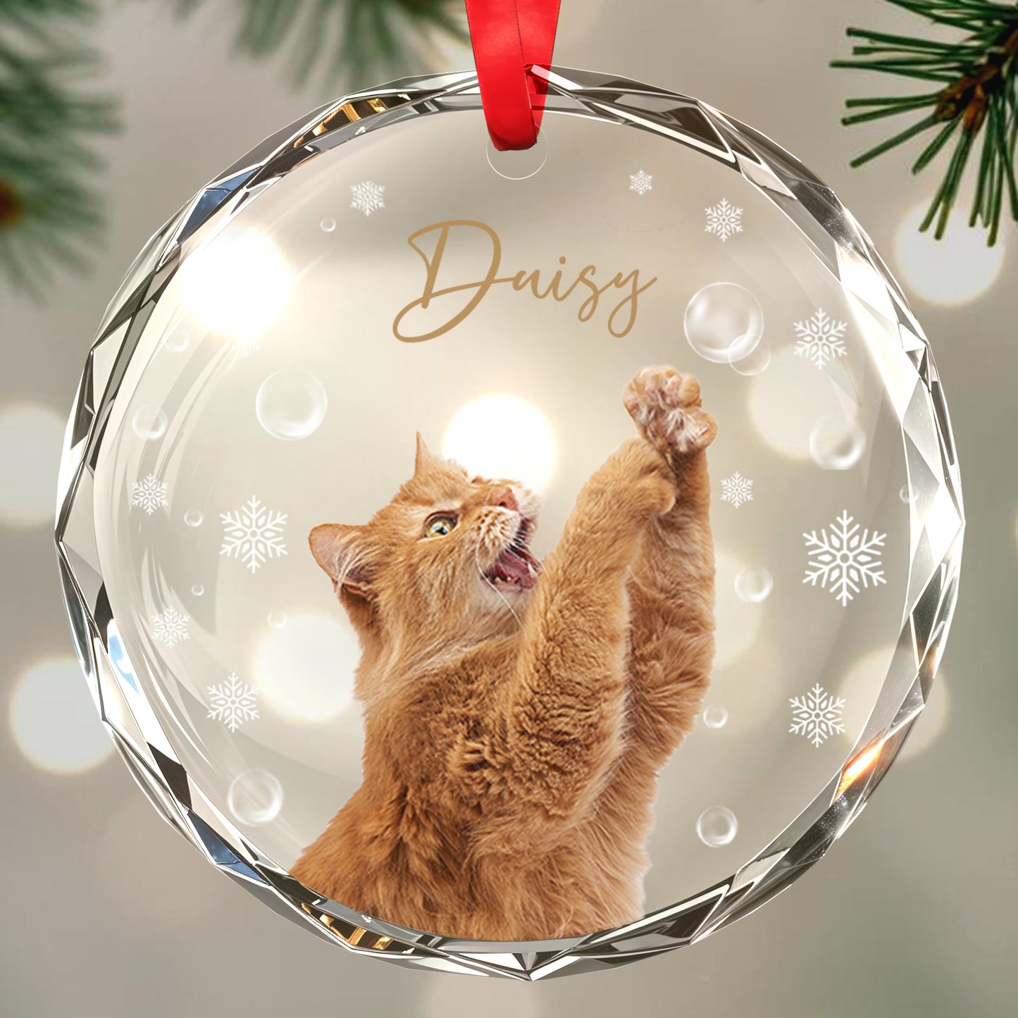 Celebrate Your Pet's Joyful Spirit - Personalized Custom Circle Glass Ornament - CAT010_CGOR