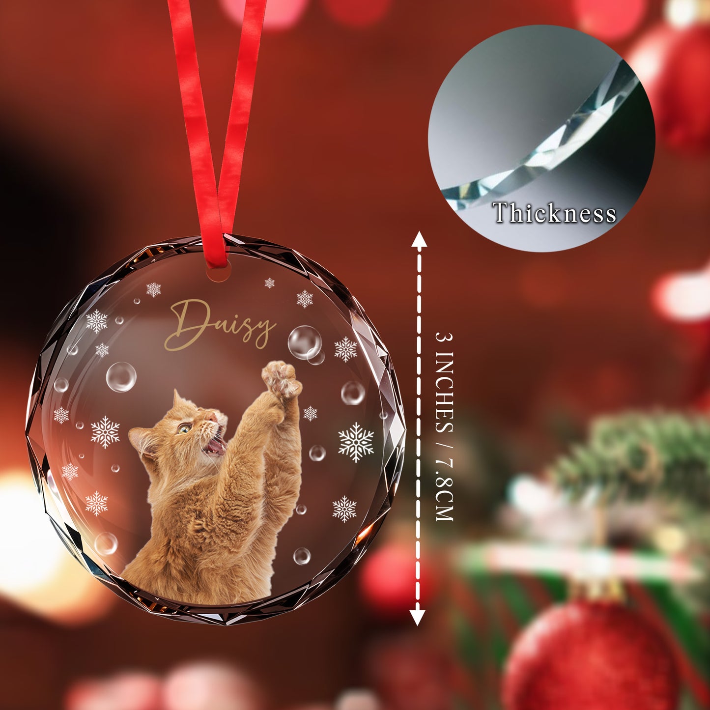 Celebrate Your Pet's Joyful Spirit - Personalized Custom Circle Glass Ornament - CAT010_CGOR