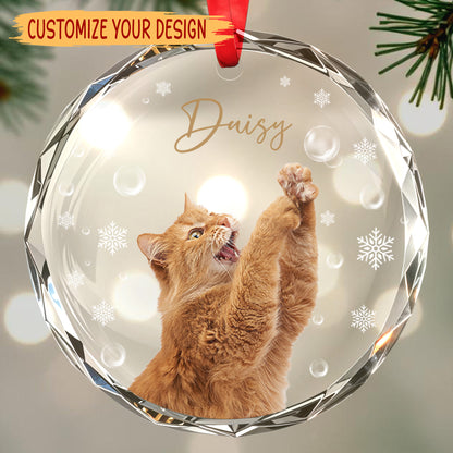 Celebrate Your Pet's Joyful Spirit - Personalized Custom Circle Glass Ornament - CAT010_CGOR