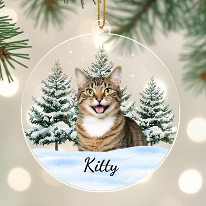 A Winter Wonderland With Your Beloved Pet - Personalized Custom Acrylic Ornament, Christmas Gift - CAT011_ACO