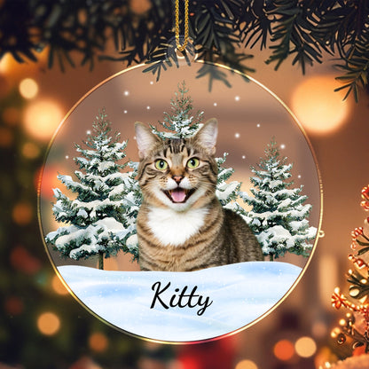 A Winter Wonderland With Your Beloved Pet - Personalized Custom Acrylic Ornament, Christmas Gift - CAT011_ACO