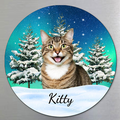 Your Purr-fect Companion Through Every Season