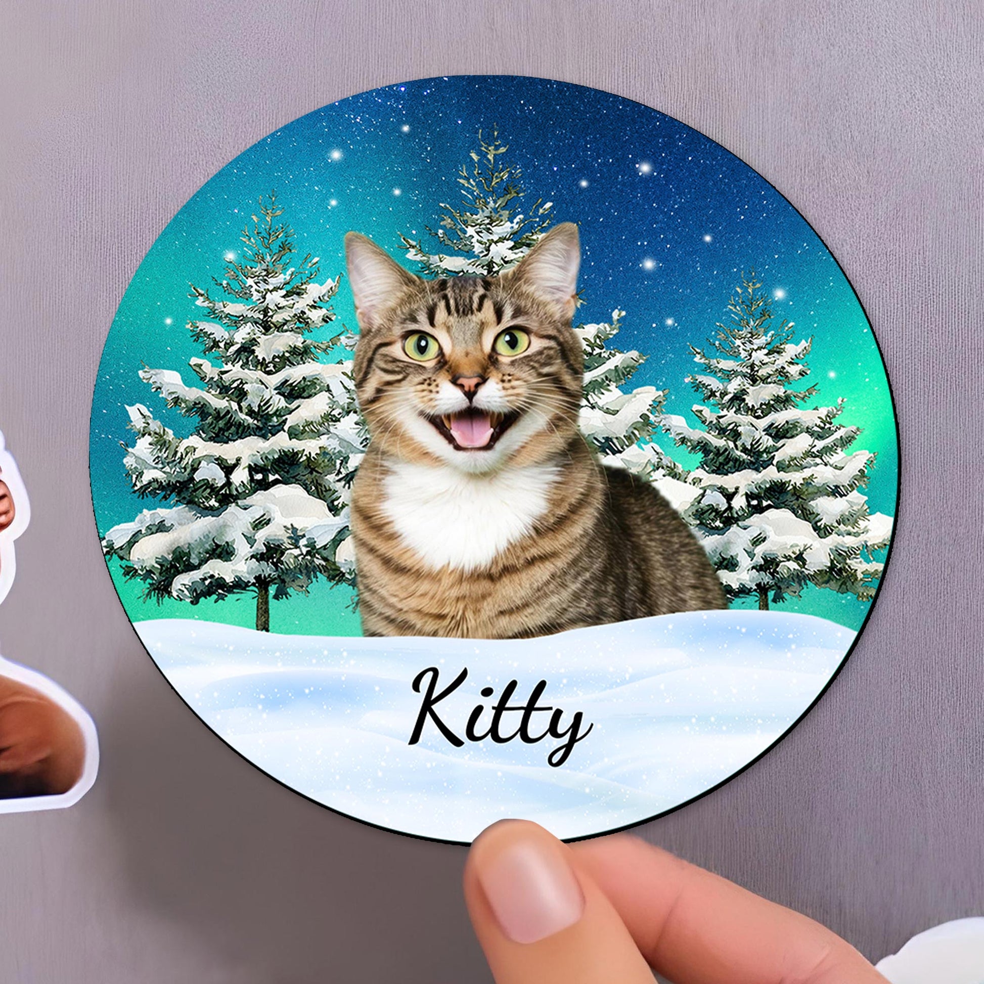 Your Purr-fect Companion Through Every Season