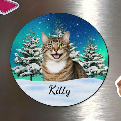 Your Purr-fect Companion Through Every Season