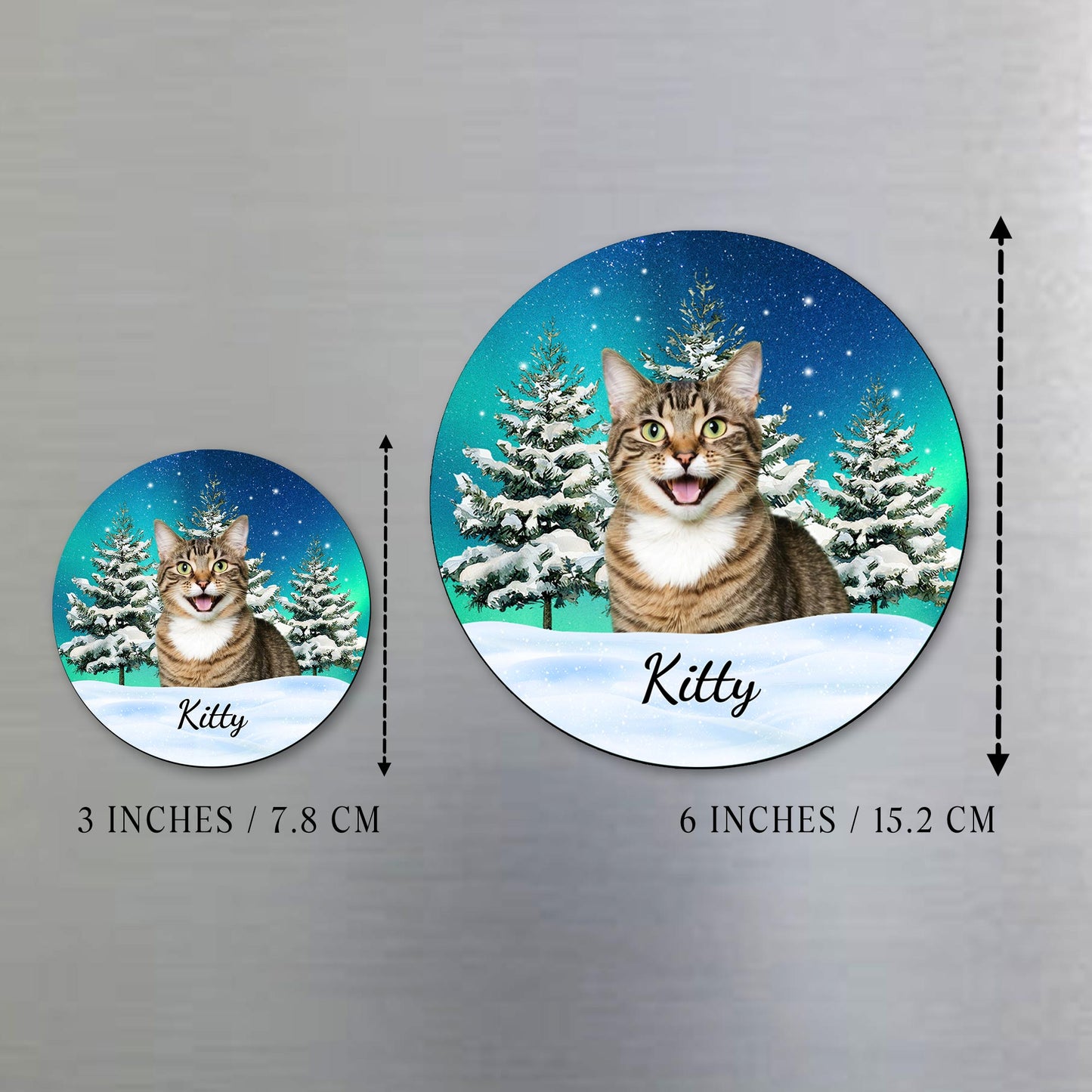 Your Purr-fect Companion Through Every Season