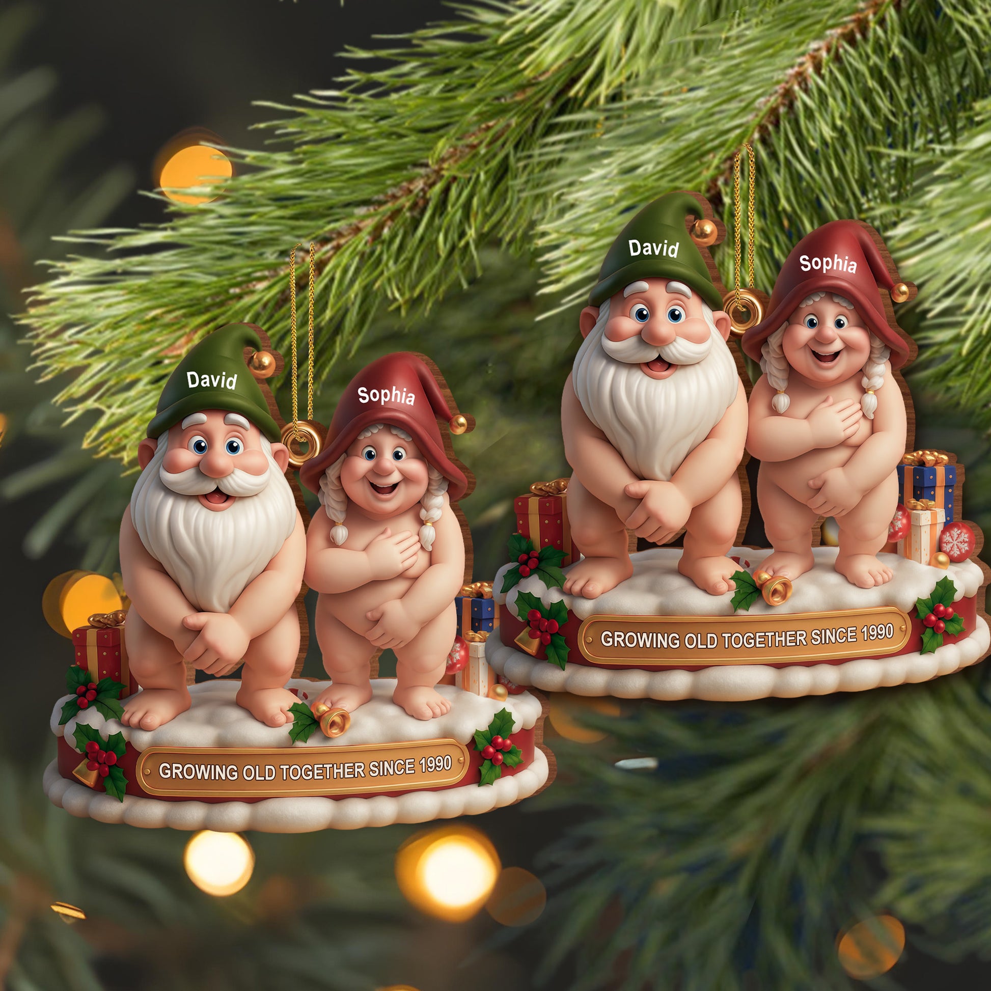 Growing Old Together Christmas Gnomes