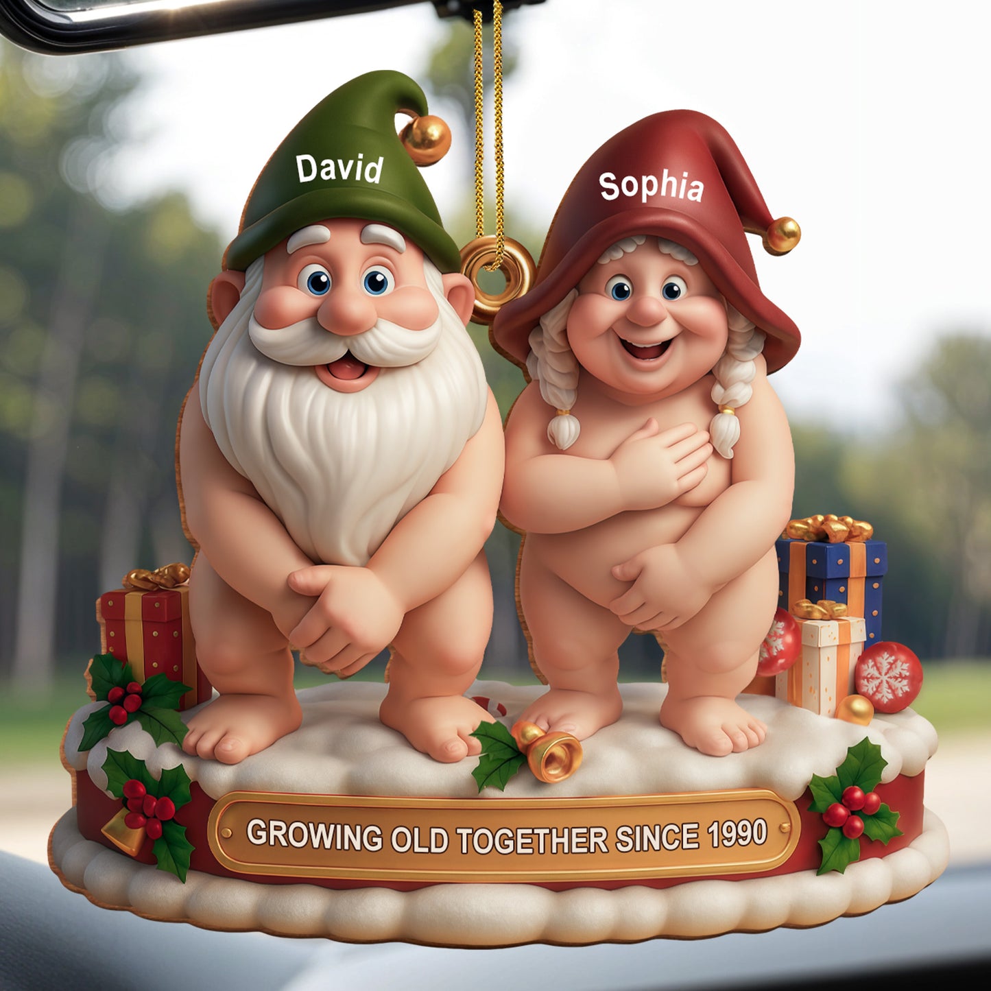 Growing Old Together Christmas Gnomes