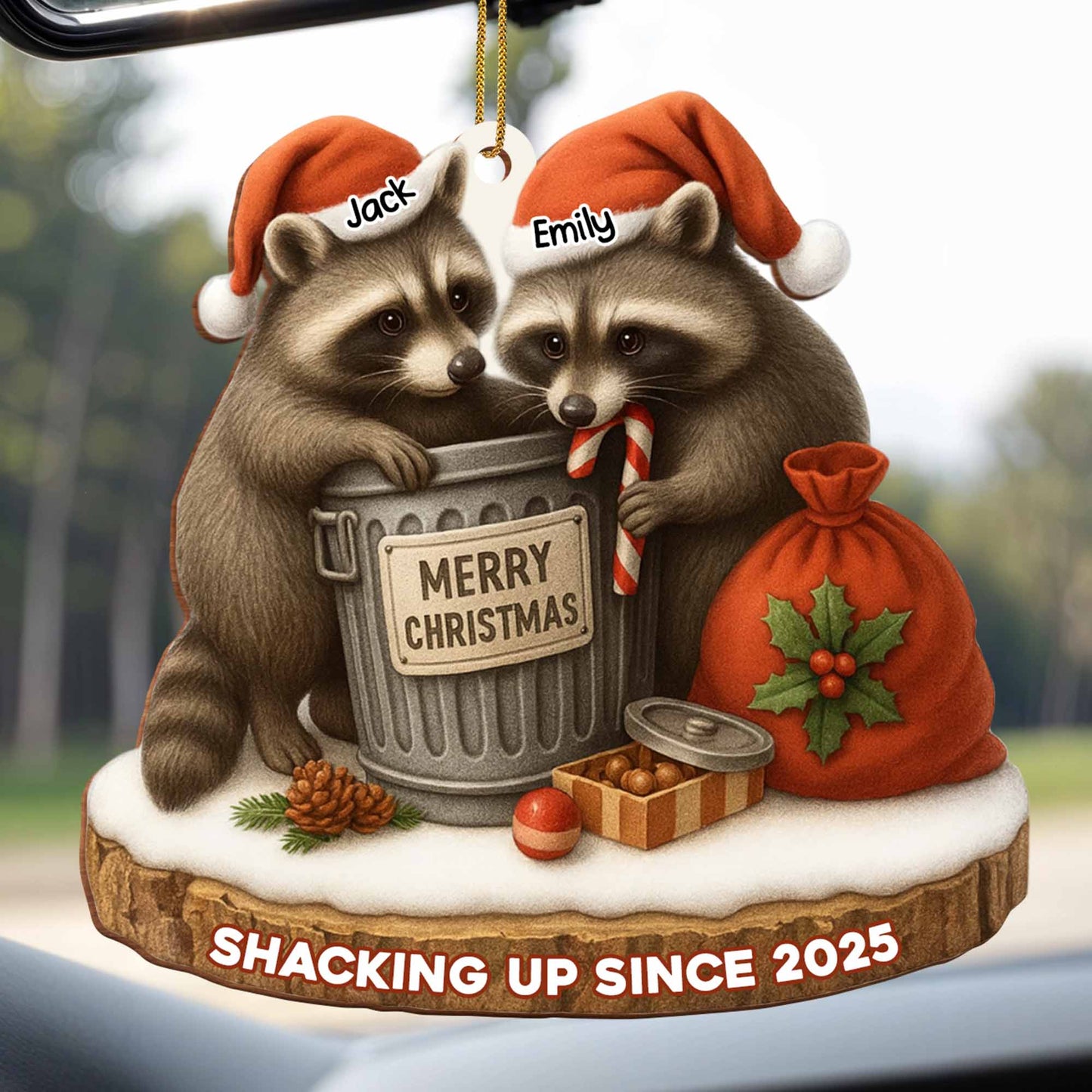 Merry Christmas, Shacking Up Since, Raccoons And Santa Hats