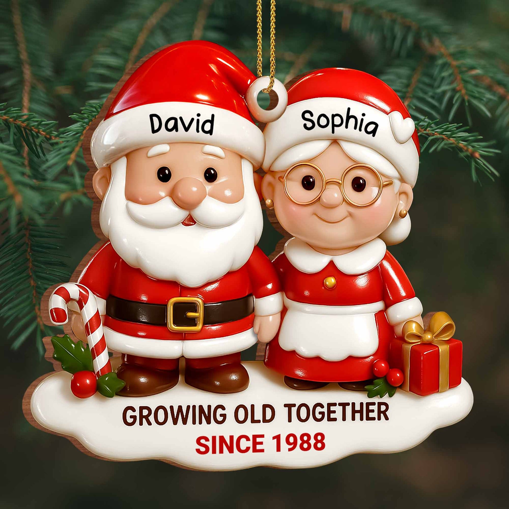 Growing Old Together Santa Claus Gifts