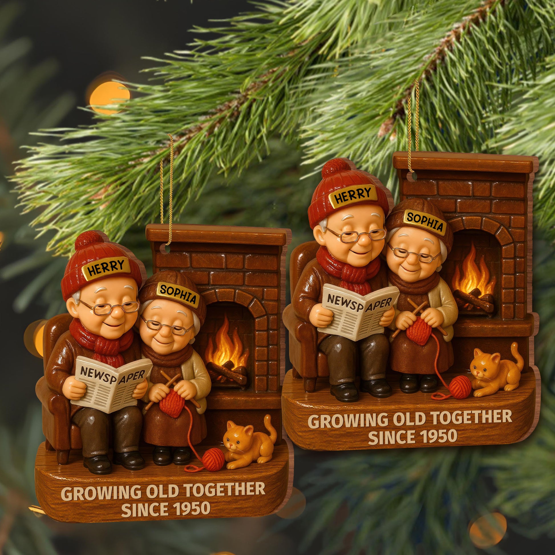 Growing Old Together With Elderly Couple And Cat