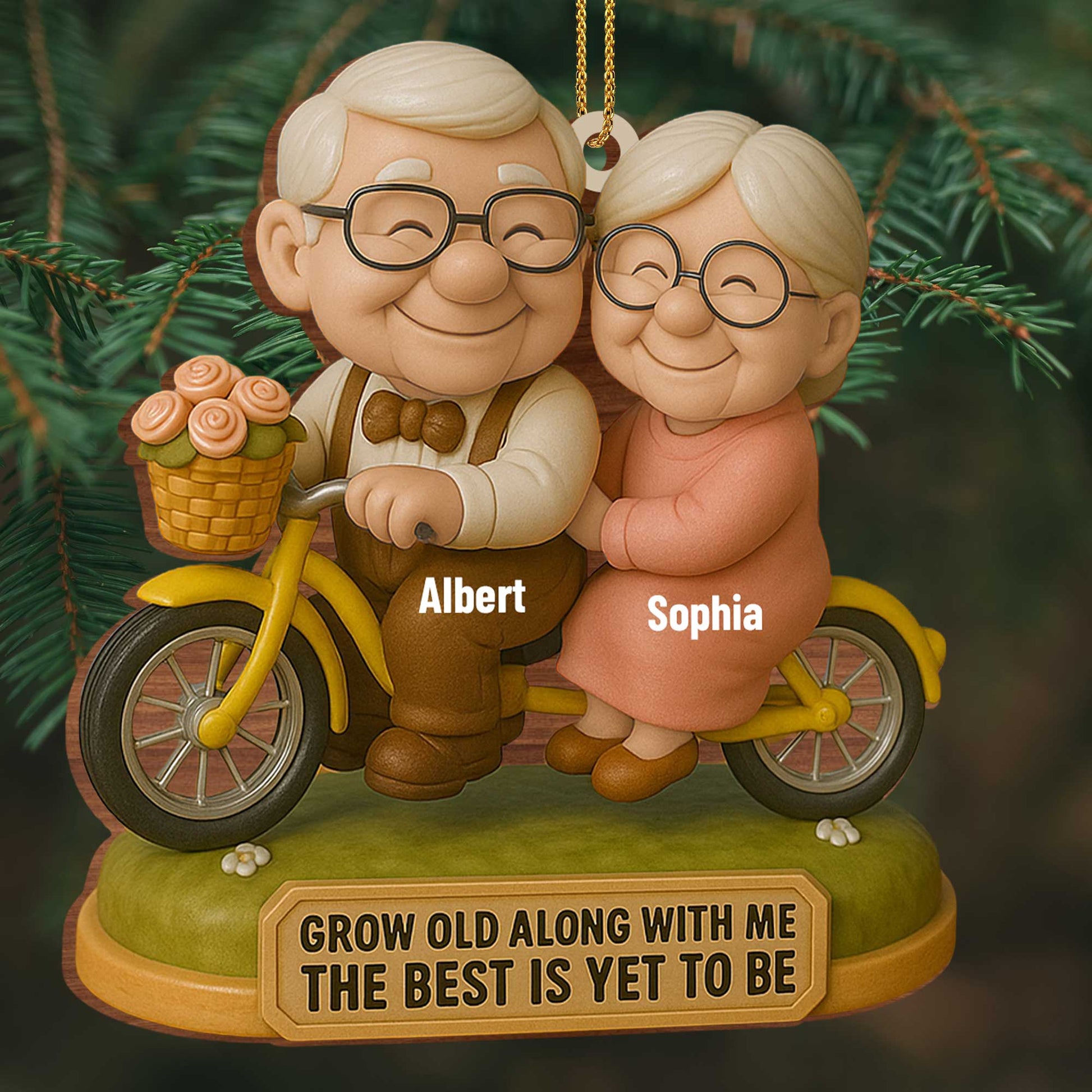 Grow Old Along With Me, Elderly Couple On Motorcycle