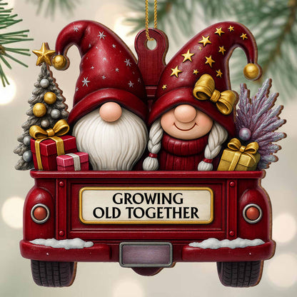 Growing Old Together With Gnomes And Christmas Cheer