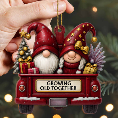 Growing Old Together With Gnomes And Christmas Cheer