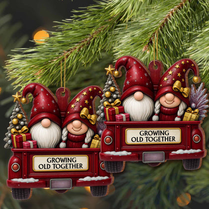 Growing Old Together With Gnomes And Christmas Cheer