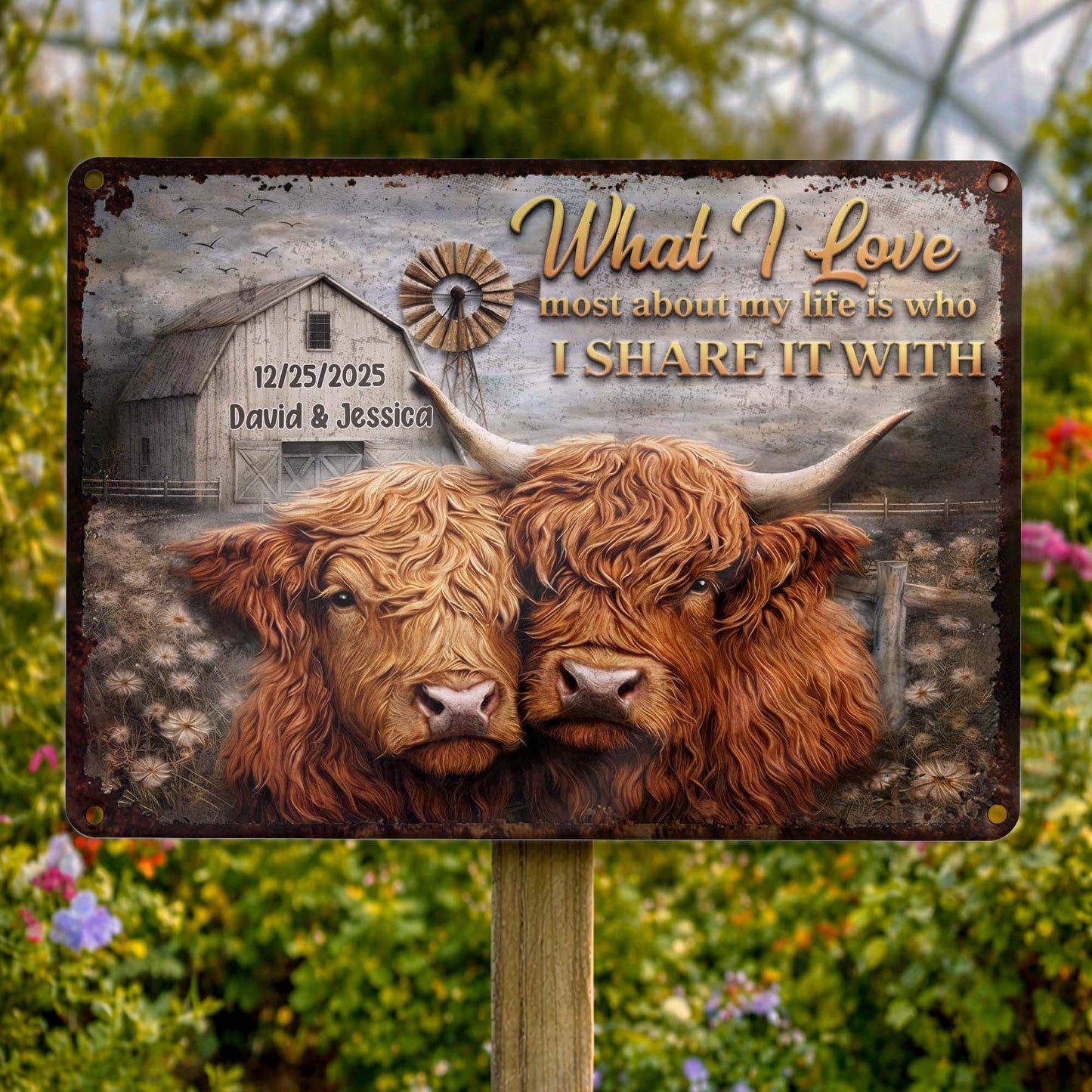 What I Love Most About My Life, Highland Cows Portrait