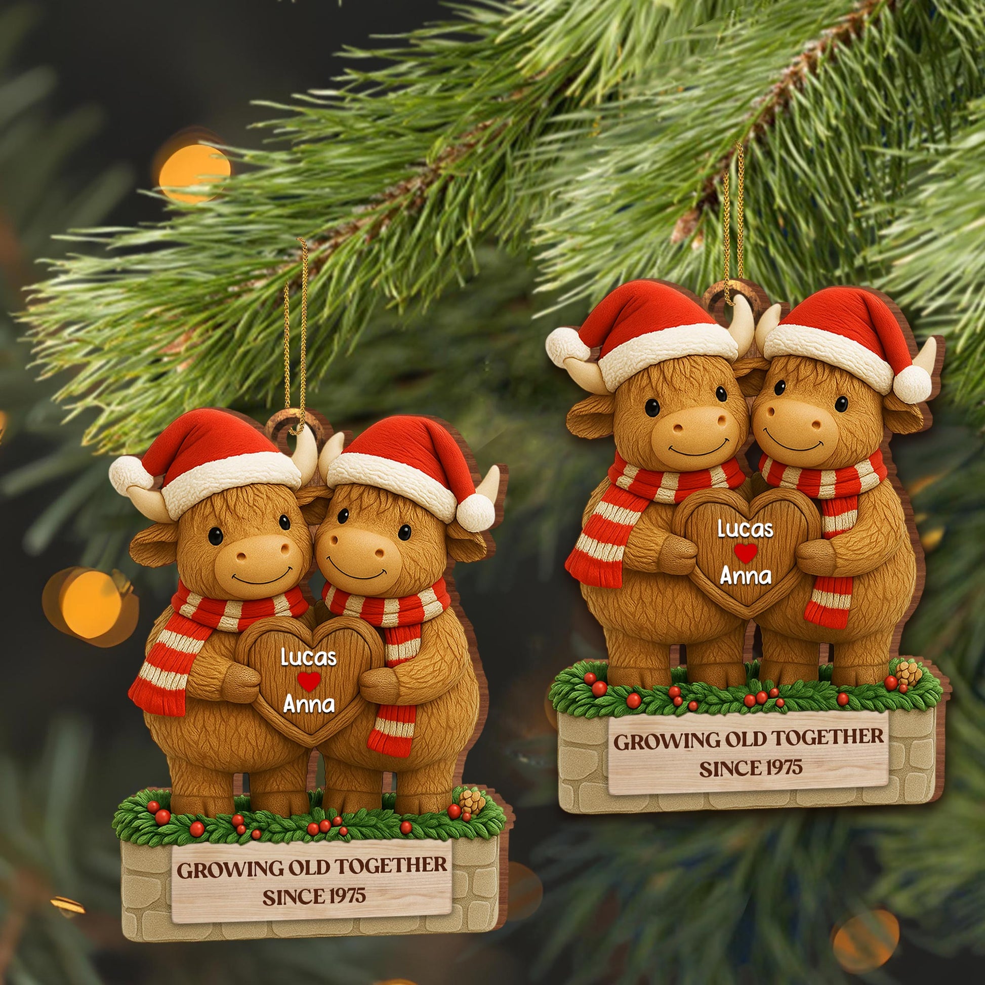 Growing Old Together, Oxen With Christmas Hats