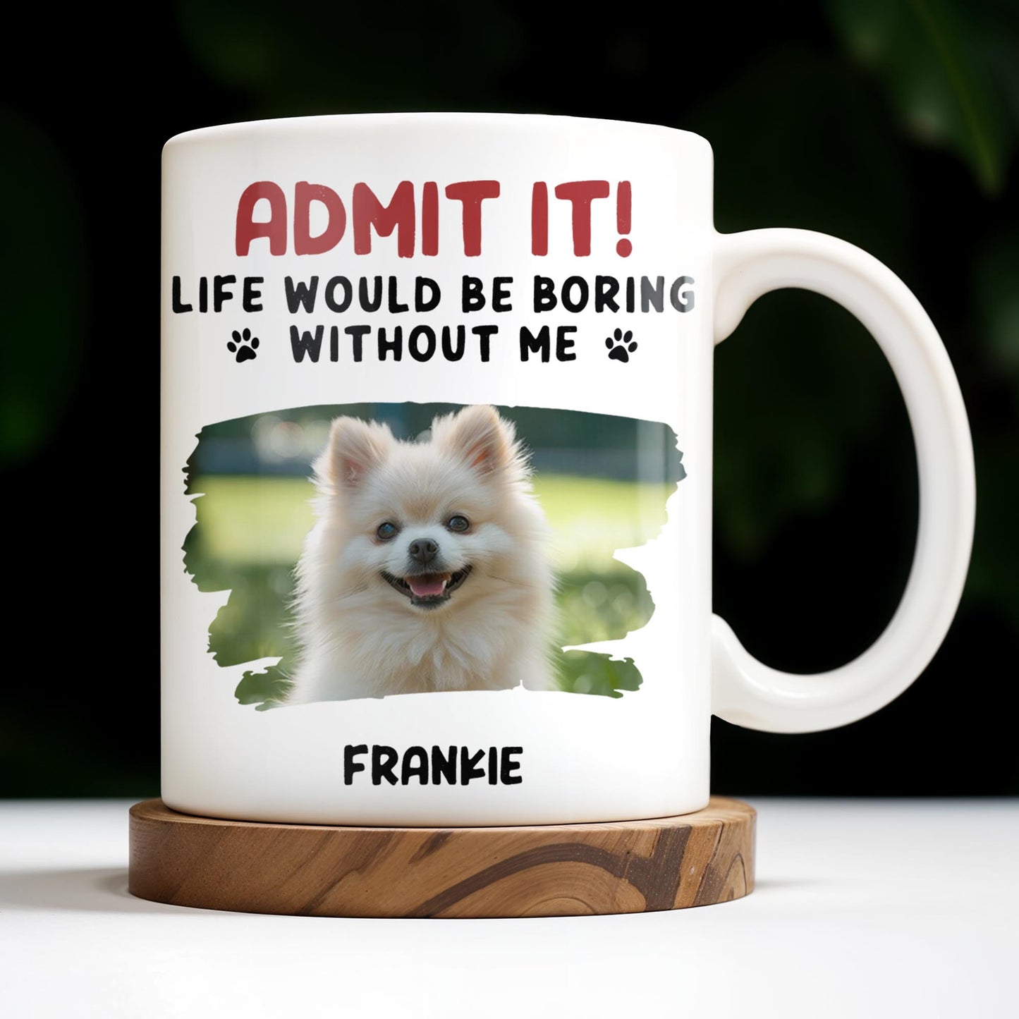 Admit It Life Would Be Boring Without Me And Cute Dog