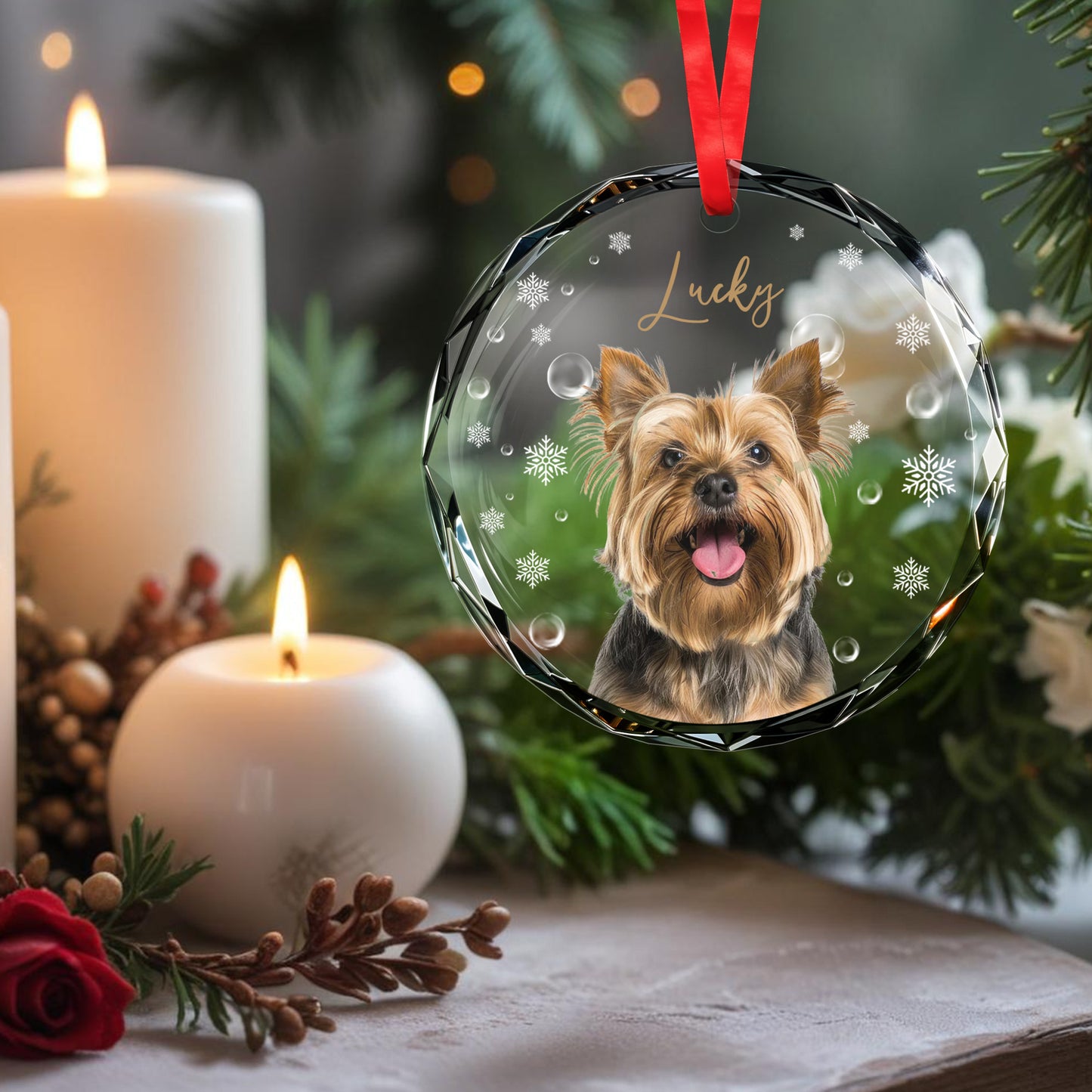 Celebrate Your Furry Friend With Joyful Winter Magic