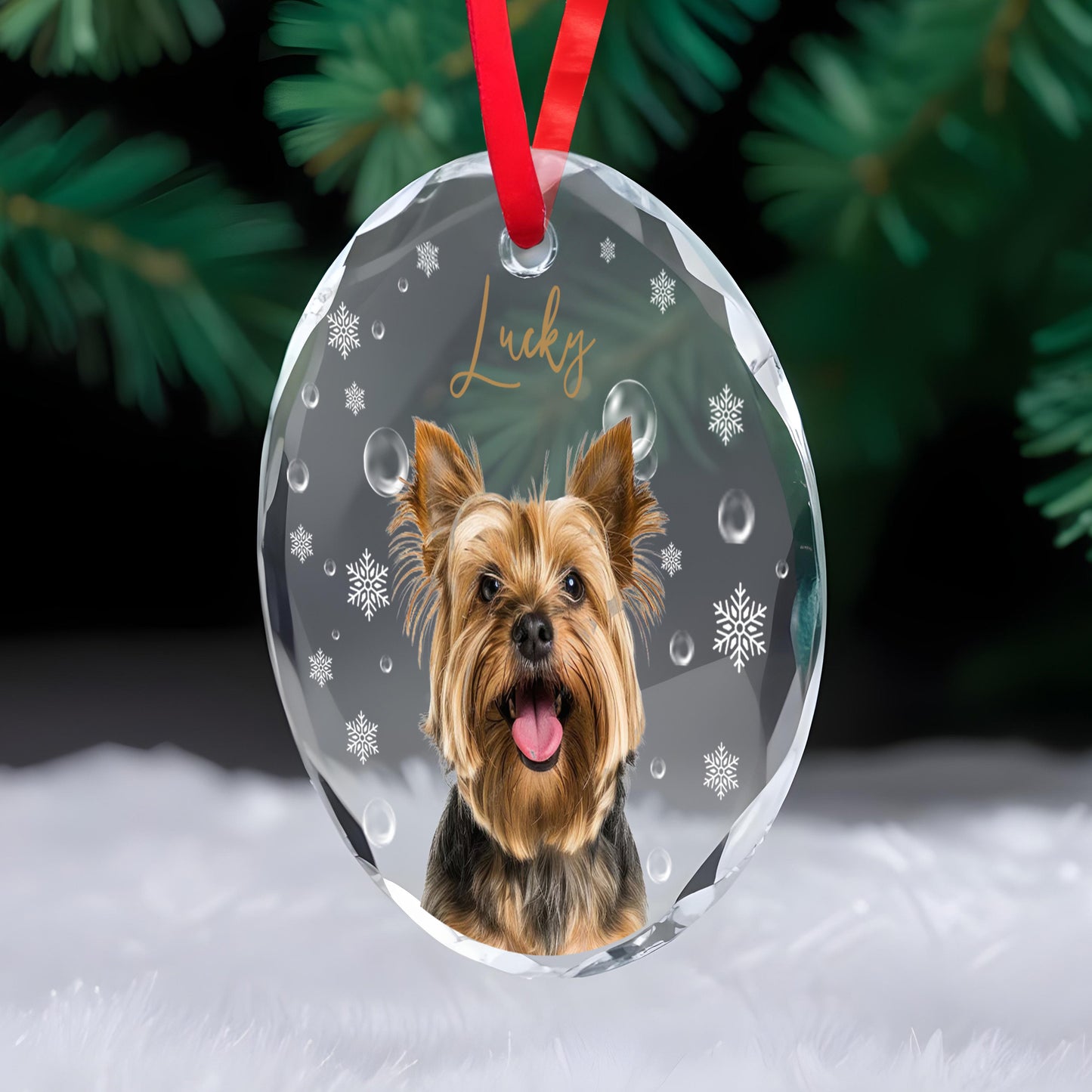 Celebrate Your Furry Friend With Joyful Winter Magic