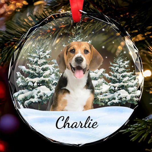 Cherish Every Moment With Your Furry Friend - Personalized Custom Circle Glass Ornament - DOG006_CGOR