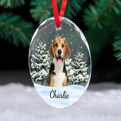 Cherish Every Moment With Your Furry Friend - Personalized Custom Circle Glass Ornament - DOG006_CGOR