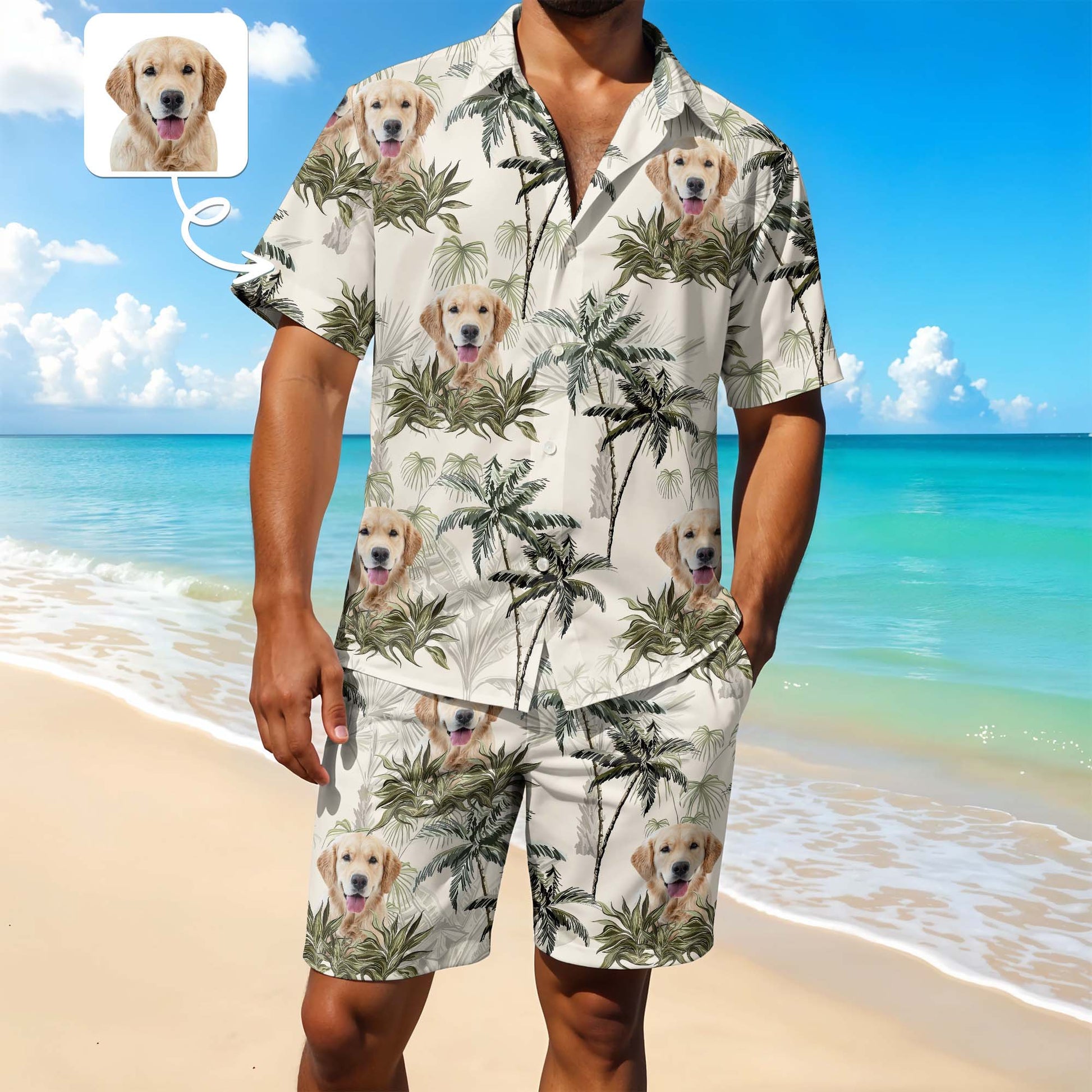 Experience Tropical Paradise With Your Furry Friend