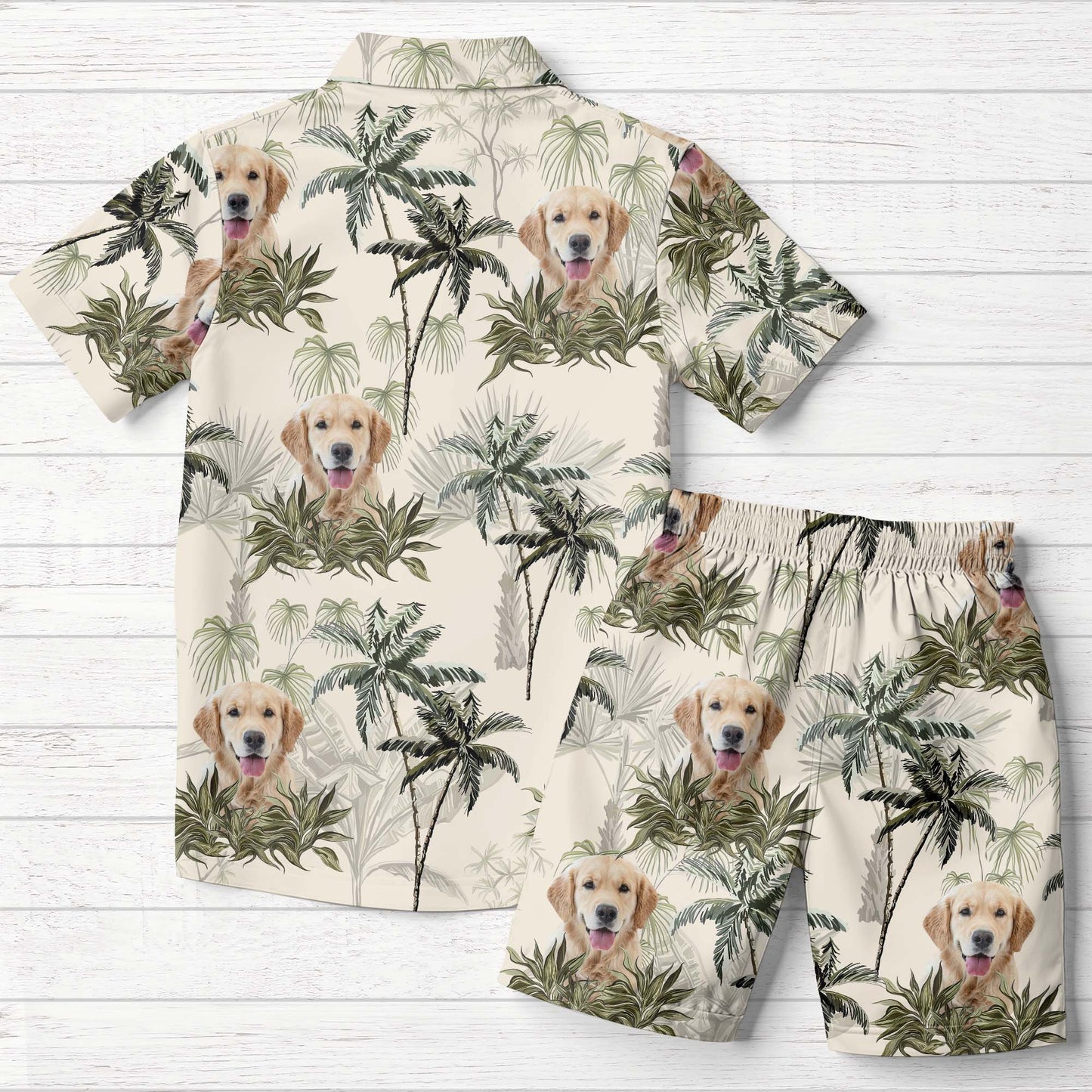 Experience Tropical Paradise With Your Furry Friend