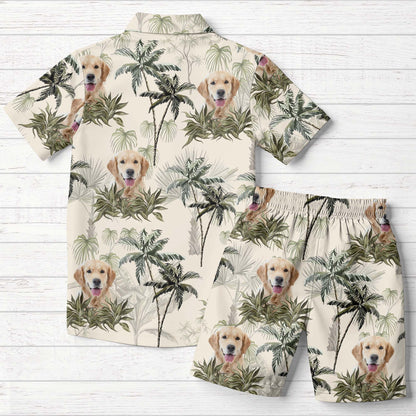 Experience Tropical Paradise With Your Furry Friend
