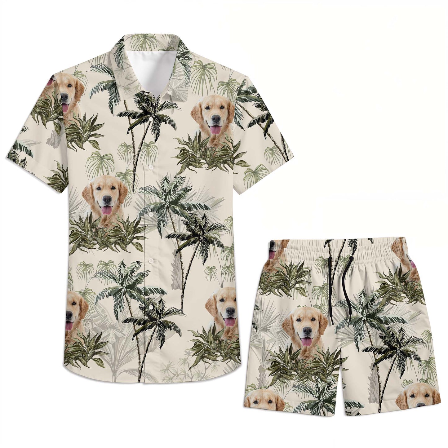 Experience Tropical Paradise With Your Furry Friend