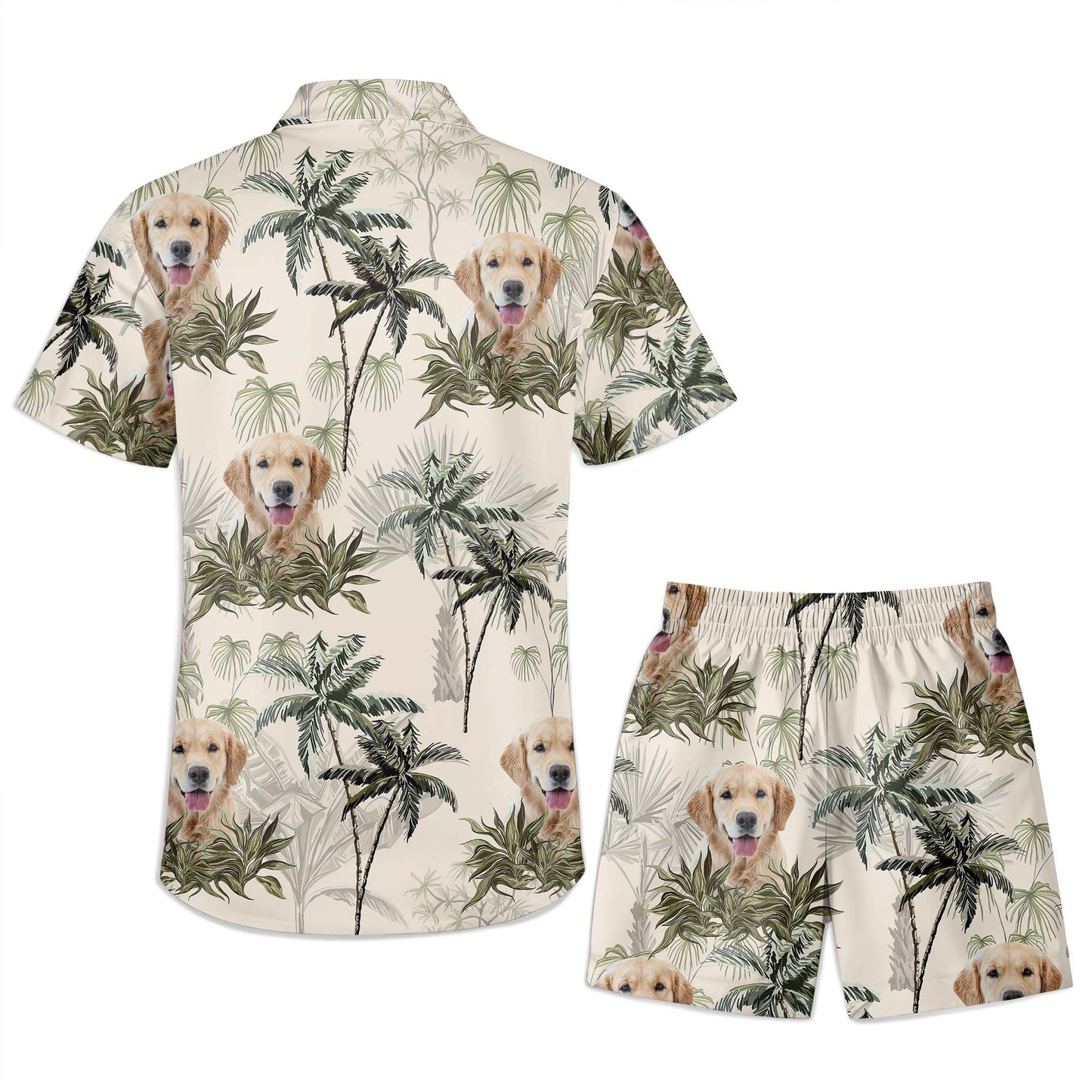 Experience Tropical Paradise With Your Furry Friend