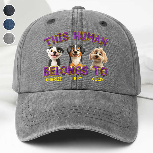 This Human Belongs To Adorable Dogs