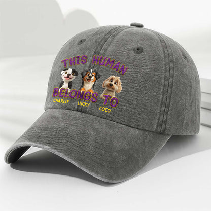 This Human Belongs To Adorable Dogs